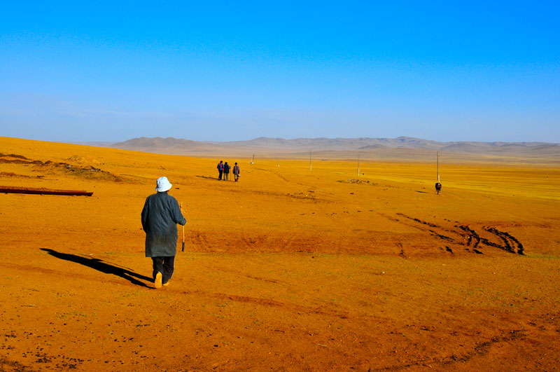 Mongolie